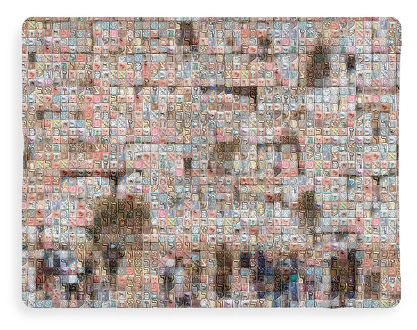Western Wall - Blanket - ALEFBET - THE HEBREW LETTERS ART GALLERY